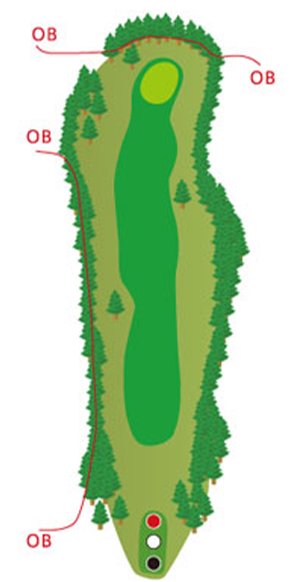 HOLE1