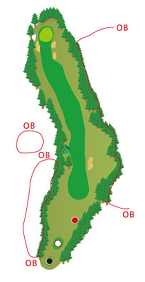 HOLE11