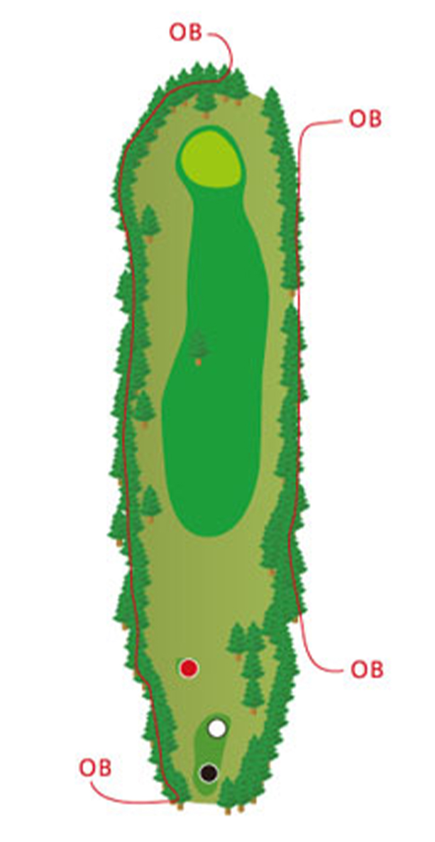 HOLE15