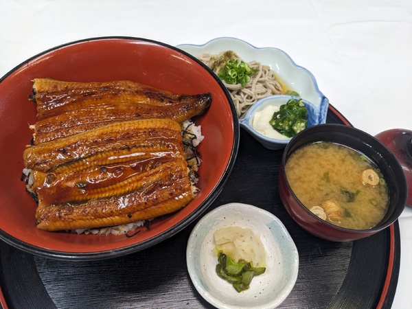鰻丼