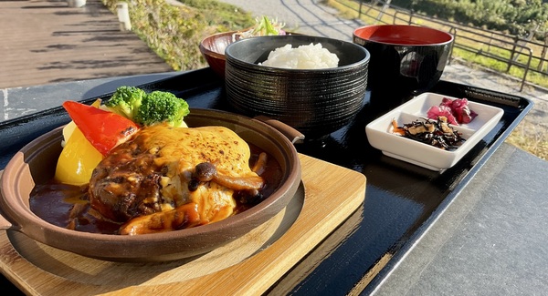 あか牛の手ごねハンバーグ~デミグラスソース煮込み~