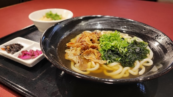 肉うどんとかしわ飯セット