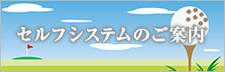 セルフシステム