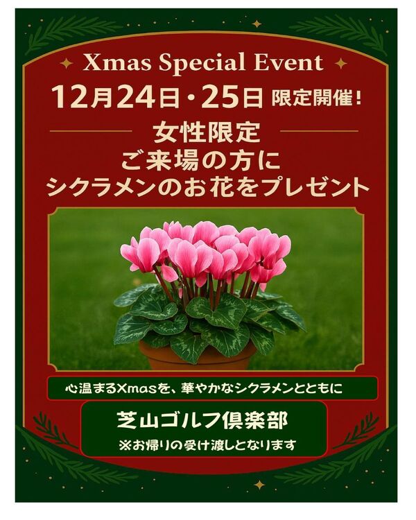 Xmas　special　Event【シクラメンプレゼント】※女性限定