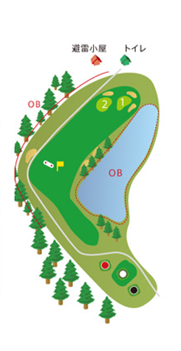 HOLE12