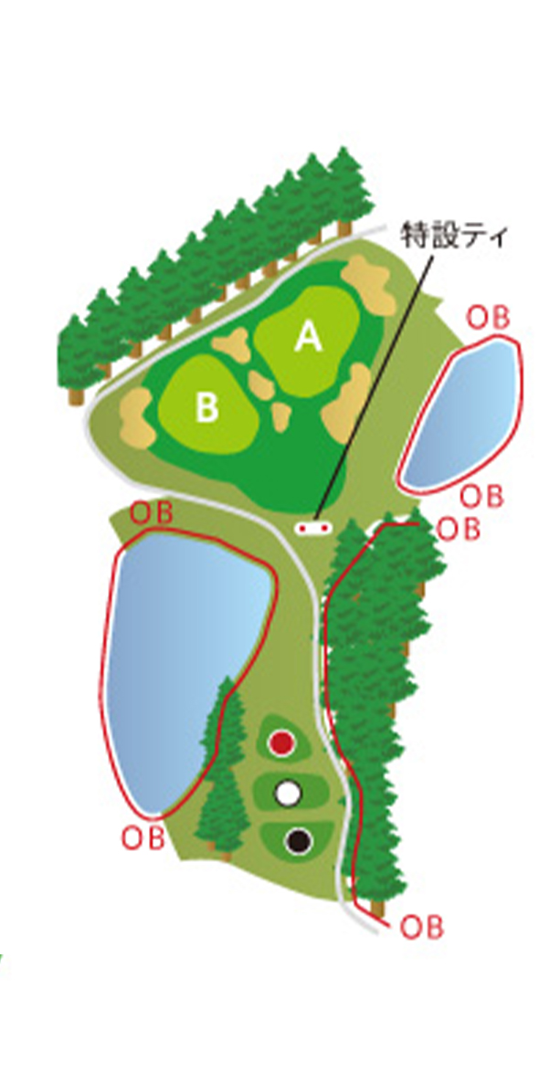 HOLE8