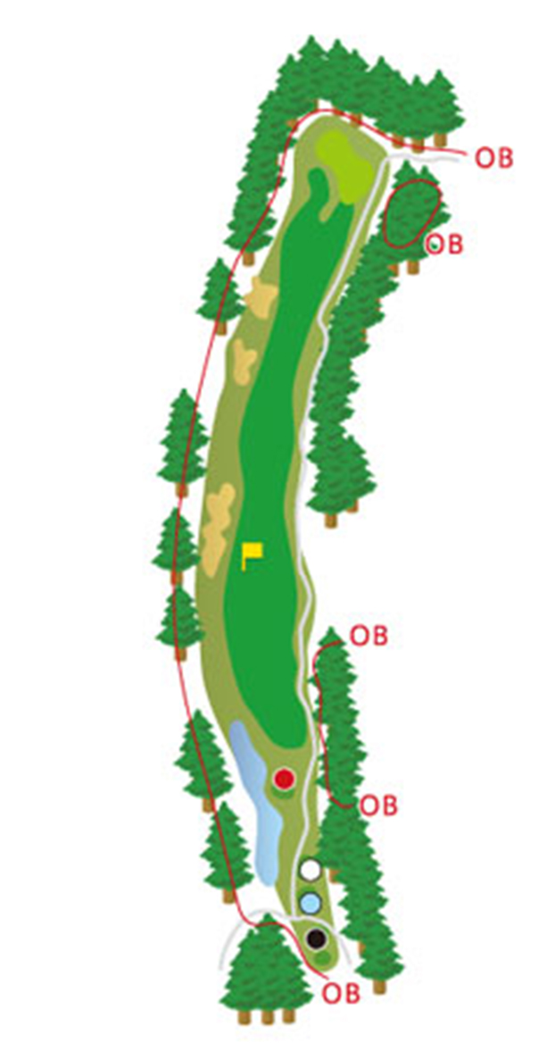 HOLE11