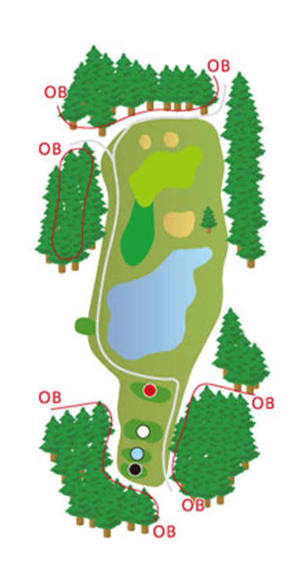 HOLE17