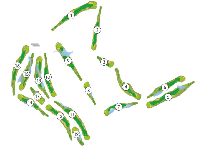 コース全体図