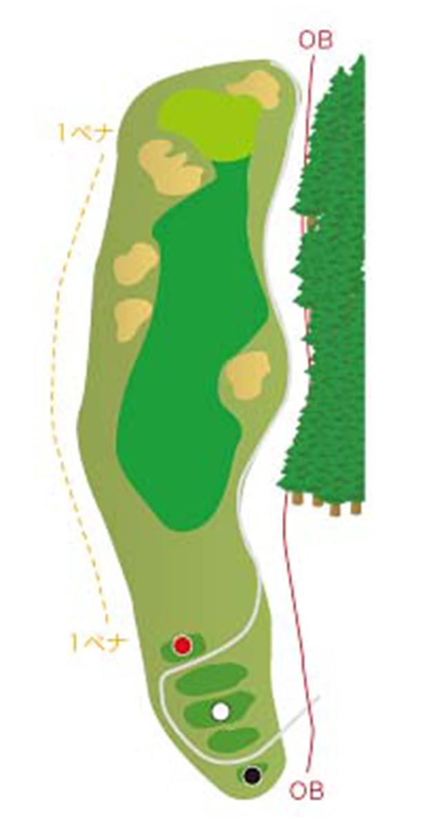 HOLE11