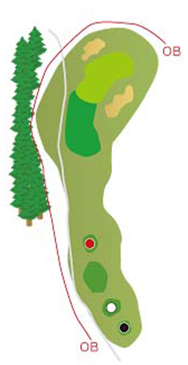 HOLE12