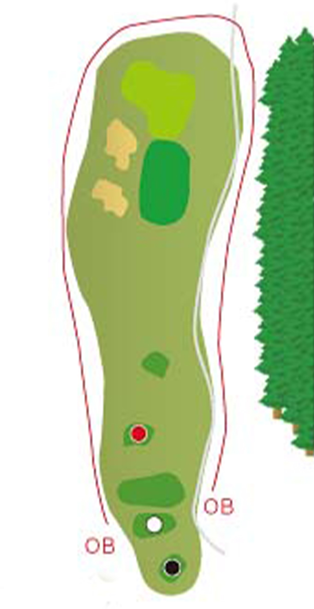 HOLE17