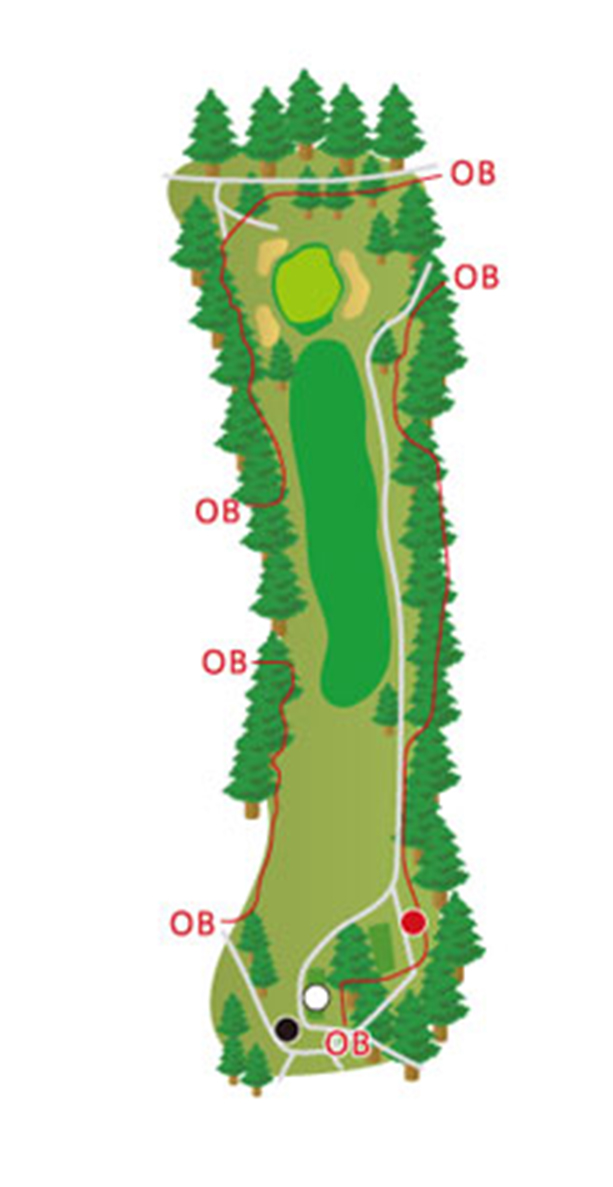 HOLE11