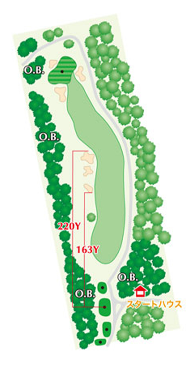 HOLE1