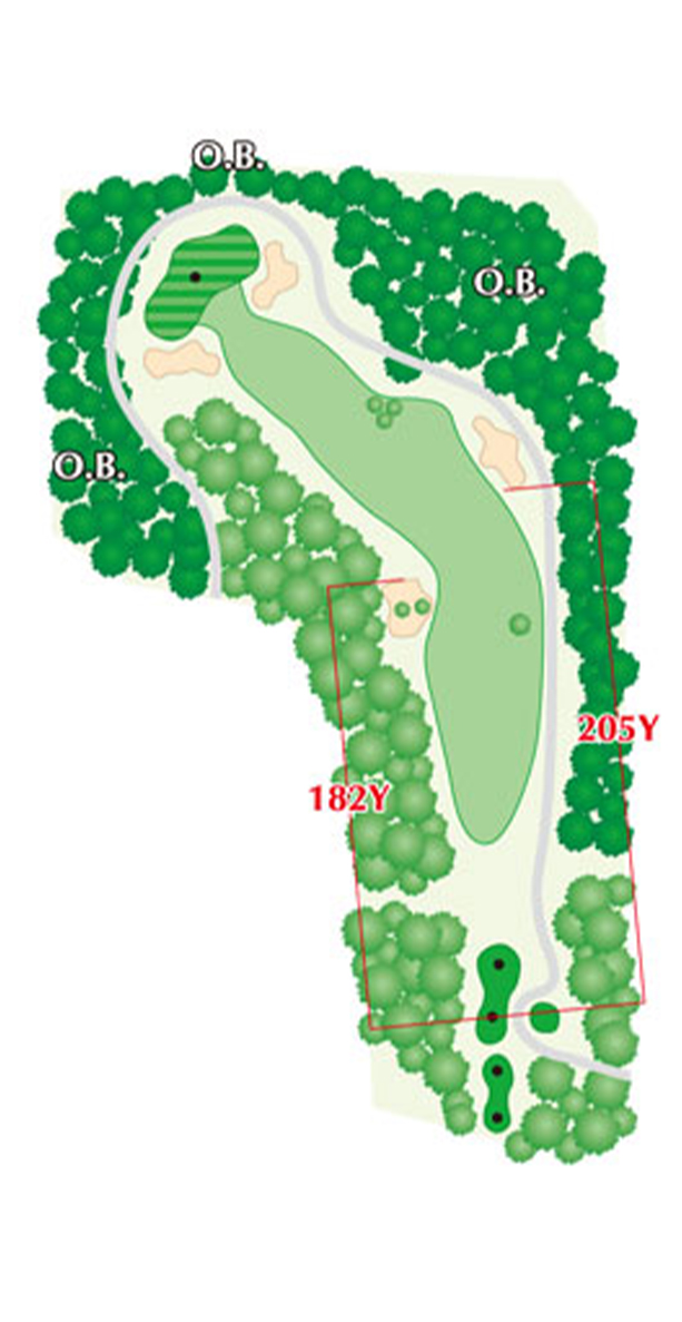 HOLE12