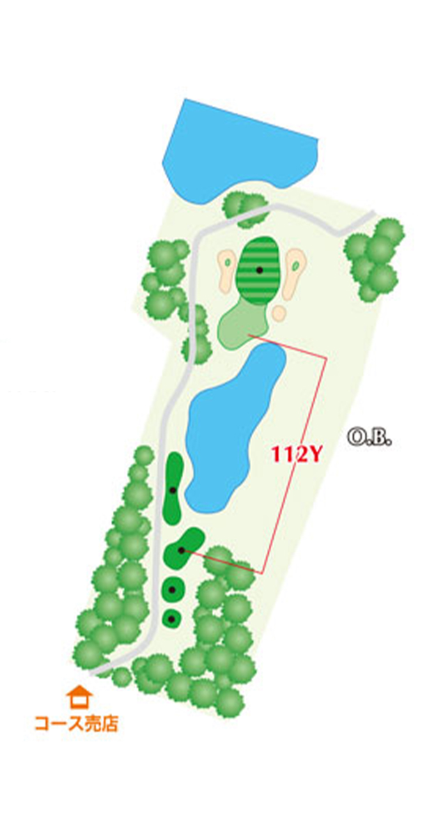 HOLE15