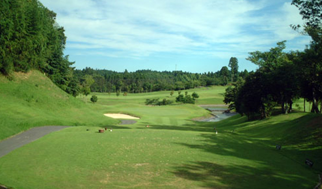 HOLE12