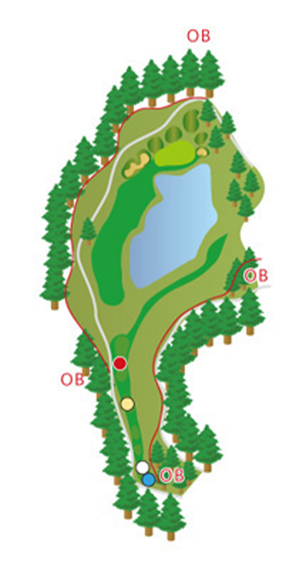 HOLE15