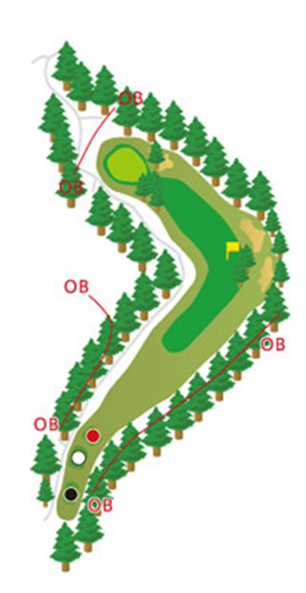 HOLE11