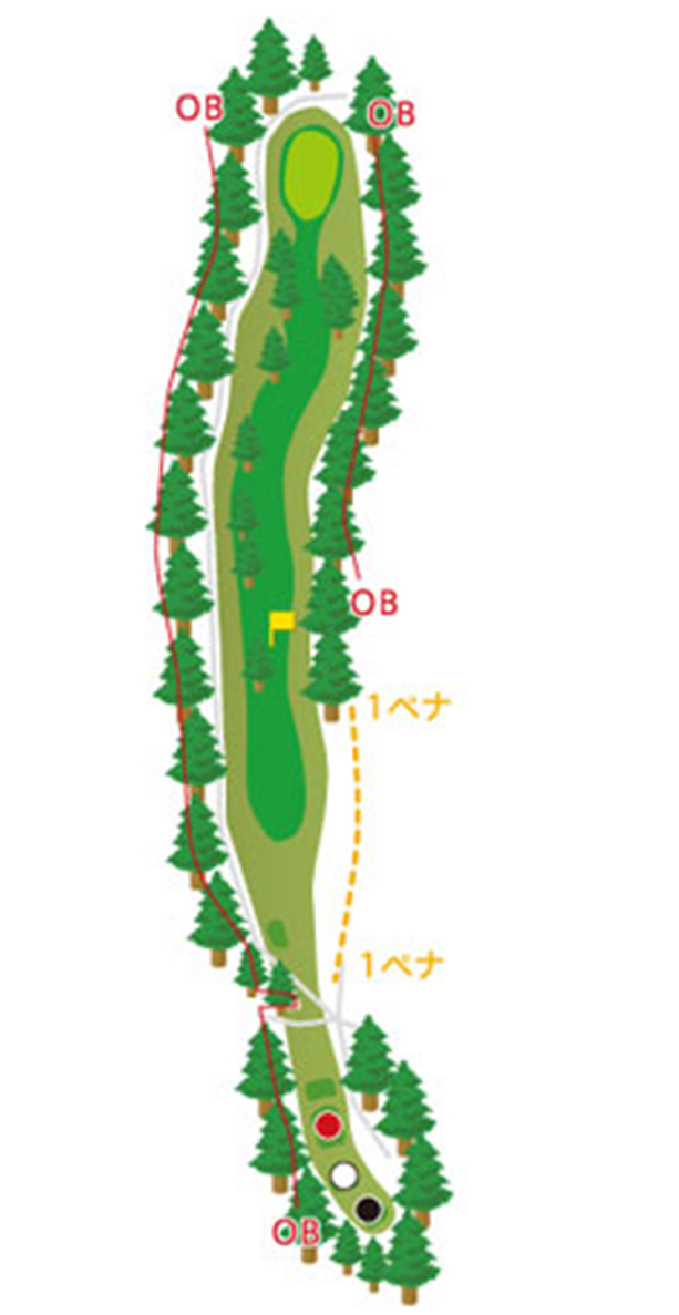 HOLE12