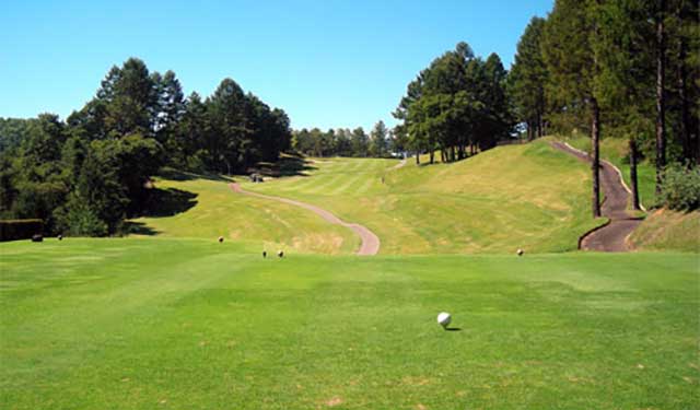 HOLE13