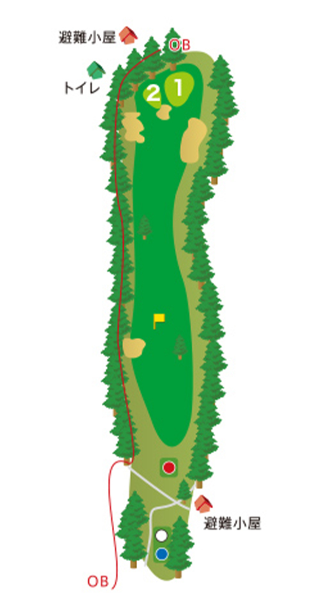 HOLE11