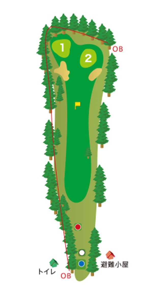 HOLE12