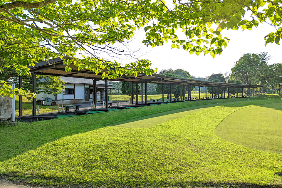 Practice Area